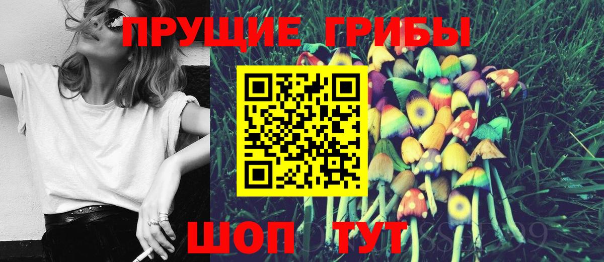 Псилоцибиновые грибы MAGIC MUSHROOMS  Псилоцибиновые грибы мухоморы  Ижевск  Вход с VPN 