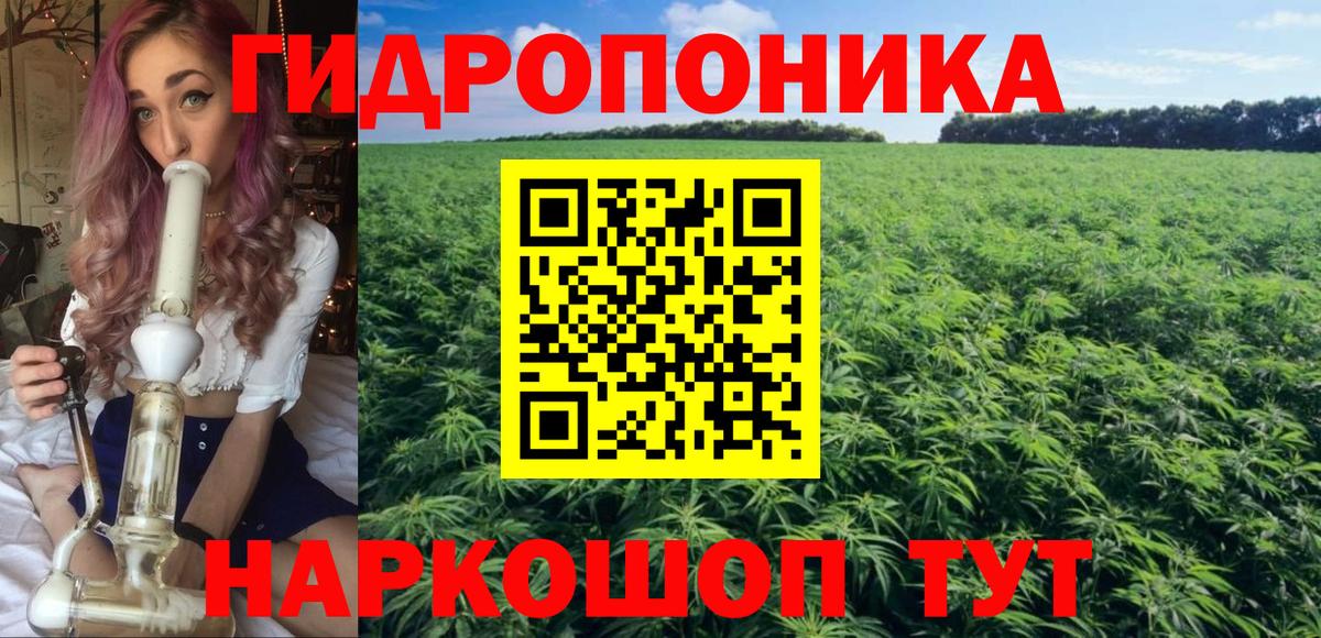Каннабис OG Kush Ижевск